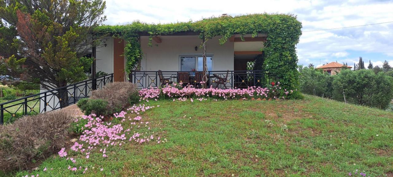 Hill View 4 Villa Alexandroúpolis Ngoại thất bức ảnh